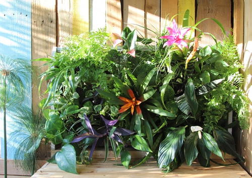 Tropical Living Wall from Wooden Pallets