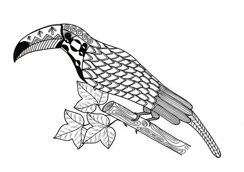 Toucan Coloring Page Favecrafts Com