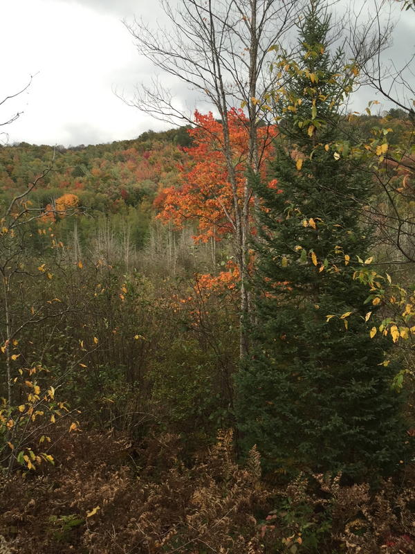 Fall Color Tour Northern Michigan