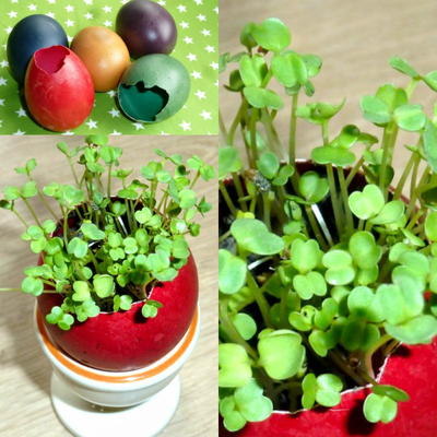 Adorable Easter Eggshell Garden