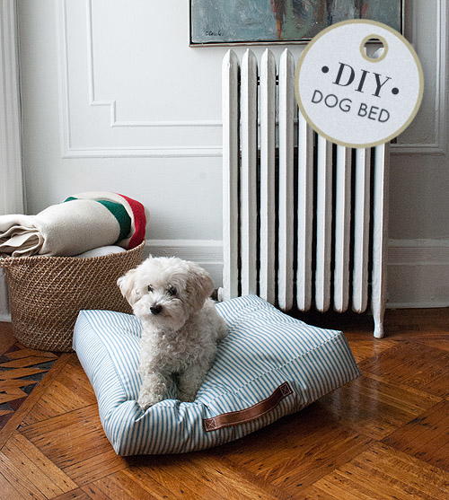 Stylish Strapped Pet Bed