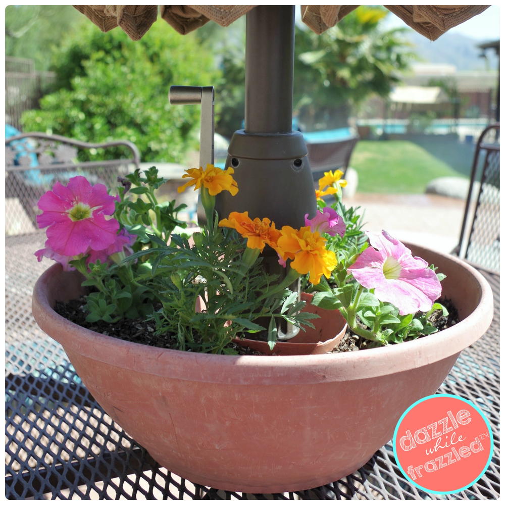 15 DIY Self Watering Planters That Make Container Gardening Easy