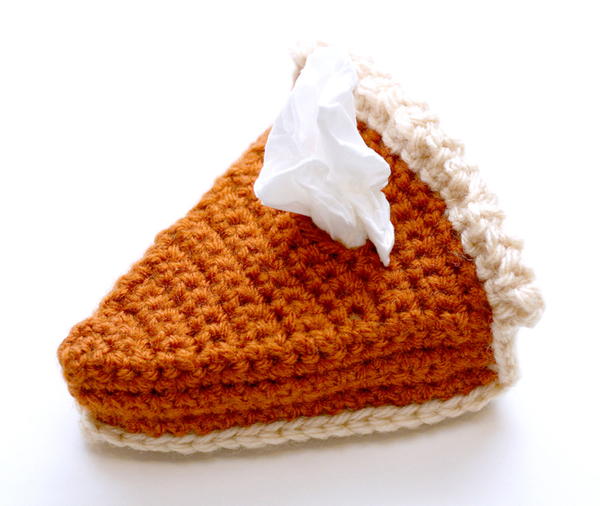 Pumpkin Pie Crochet Tissue Cozy