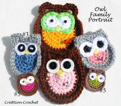 Owl Family Portrait