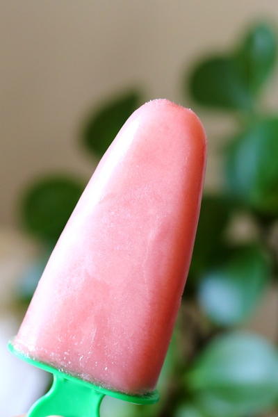 Cranberry Lime Popsicles