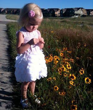 Rose Petal Dress