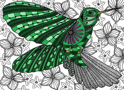 Hummingbird Adult Coloring Page