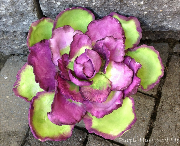 Beautiful Foam Ornamental Cabbage