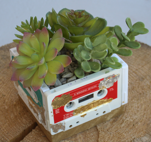 Old Cassette Tape Succulent Planter