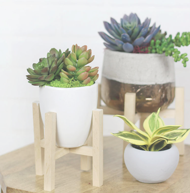 DIY Mini Plant Stands