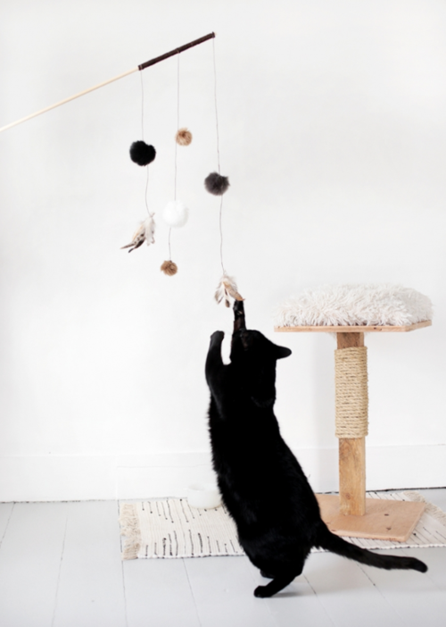 Charming DIY Cat Toys