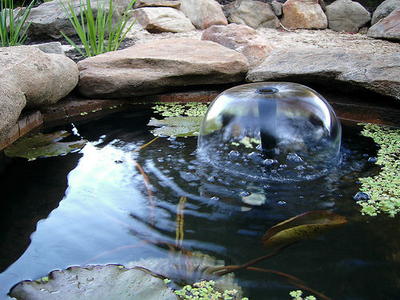 Backyard Fish Pond Idea