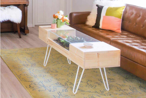 DIY Terrarium Coffee Table