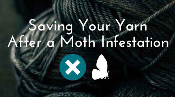 https://irepo.primecp.com/2018/06/375586/How-to-Clean-Moth-Infested-Yarn_Large600_ID-2776869.png?v=2776869