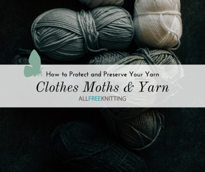 Clothes Moths & Yarn: How to Protect and Preserve Your Yarn