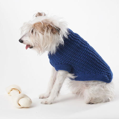 Sapphire Knit Dog Sweater Allfreeknitting Com