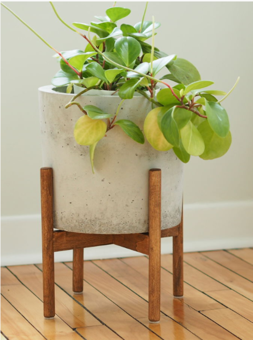 DIY Wood Plant Stand