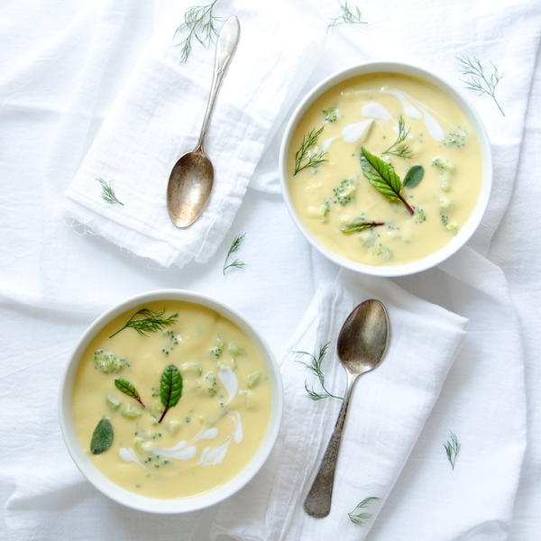 Cream of Broccoli Soup