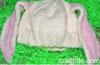 Knit Bunny Ear Hat