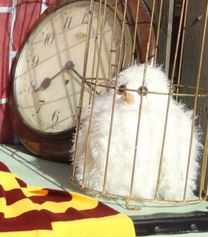 Knit Harry Potter Owl