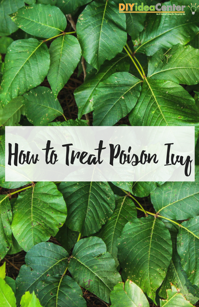 How To Treat Poison Ivy 