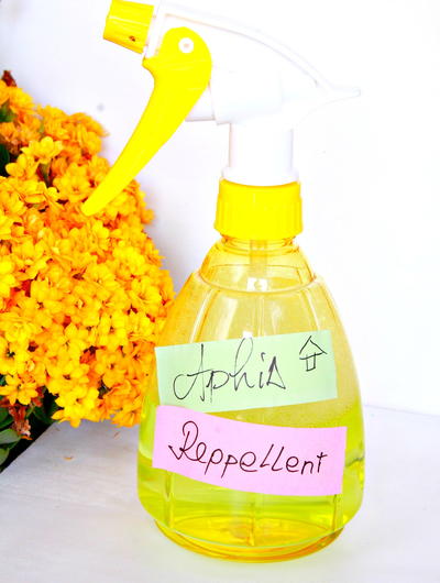 Natural Aphid Repellent