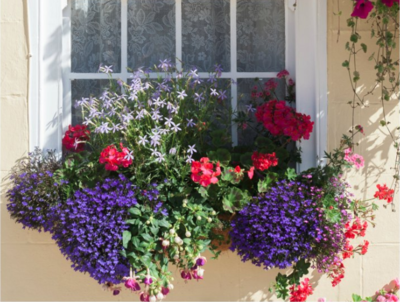 DIY Garden Box | DIYIdeaCenter.com