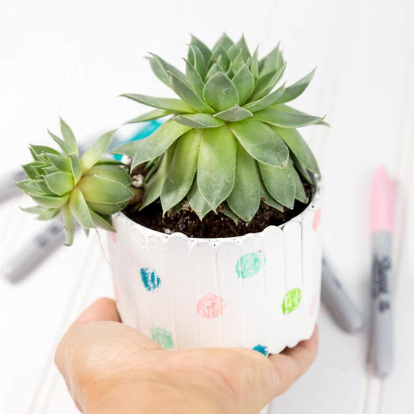 DIY Popsicle Stick Planter Tutorial 