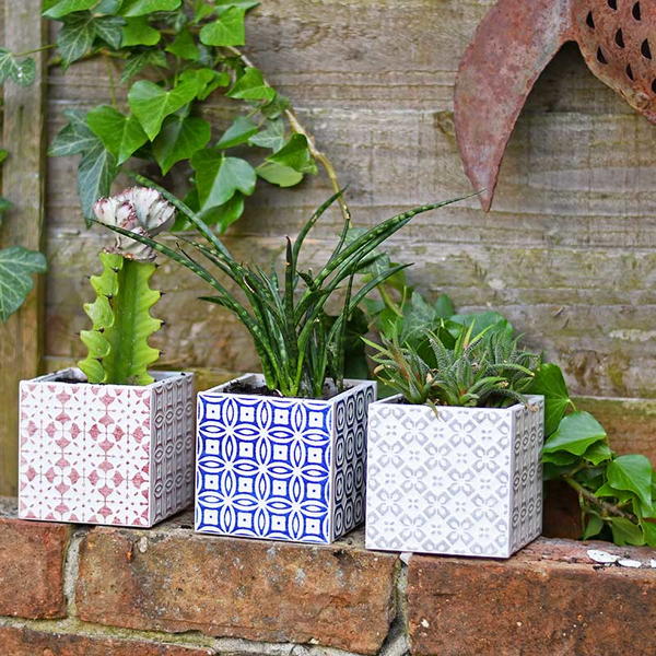 Gorgeous Simple 10 Minute Moroccan Tile Planters