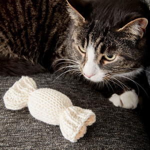 Knitting For Pets Allfreeknitting Com Knitting For Pets Allfreeknitting Com