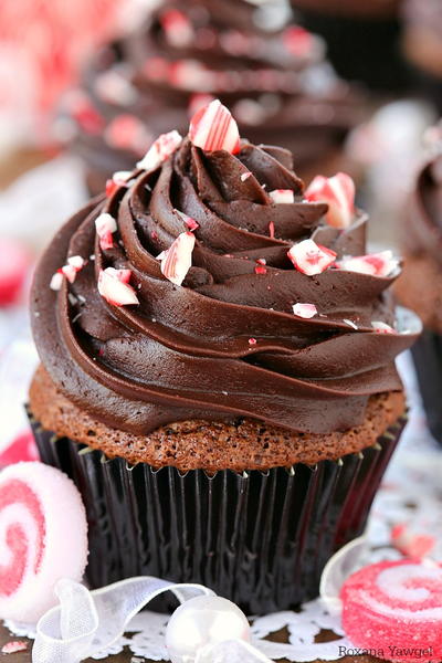 Chocolate Cupcakes with Peppermint Fudge Frosting