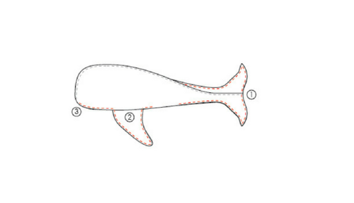 Wallace The Whale Plush Pattern