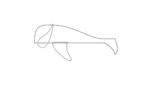 whale template pattern