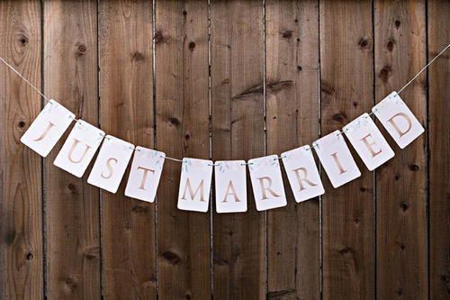 Rose Gold Just Married Banner