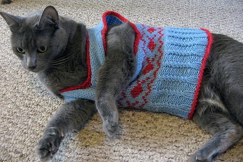 Preppy Cat Vest | AllFreeKnitting.com