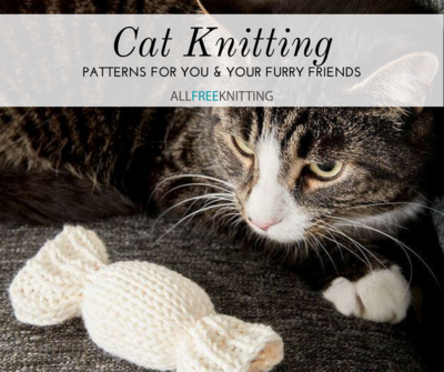 Cat Knitting: 15 Patterns for You and Your Feline