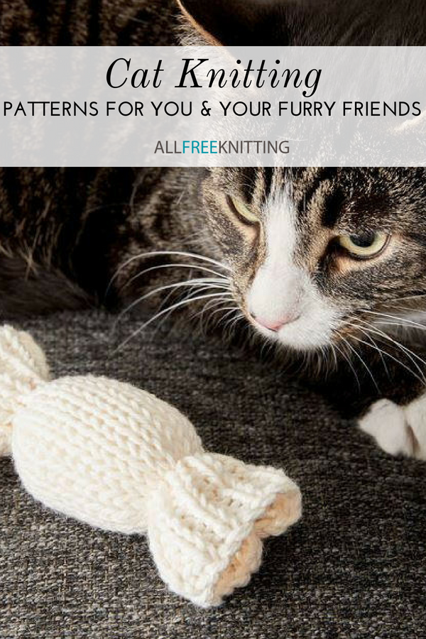 27 Cat Blanket Crochet Patterns: Fun and Cozy Designs for Your Furry Friend