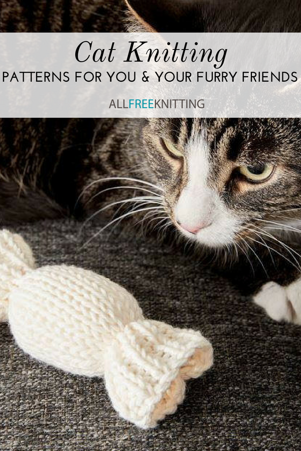 Cat Knitting 15 Patterns for You and Your Feline