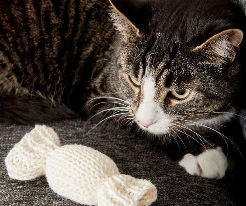 Cat Knitting 15 Patterns For You And Your Feline
