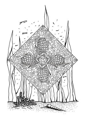 Coral Reef Slice Of Life Adult Coloring Page Favecrafts Com