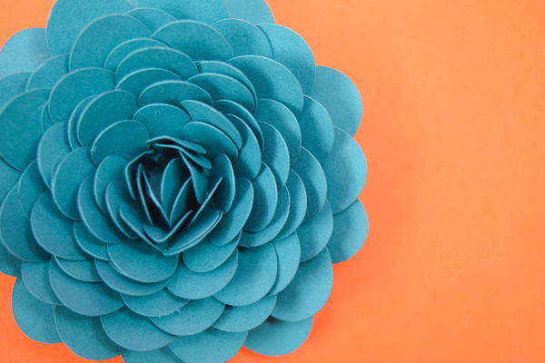 Paper Succulent Flower Tutorial