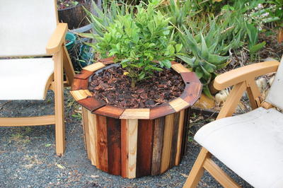 DIY Garden Planter from Rain Barrel