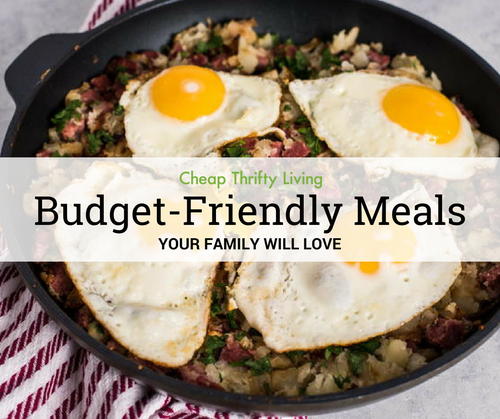 16 Budget-Friendly Meals Your Family Will Love