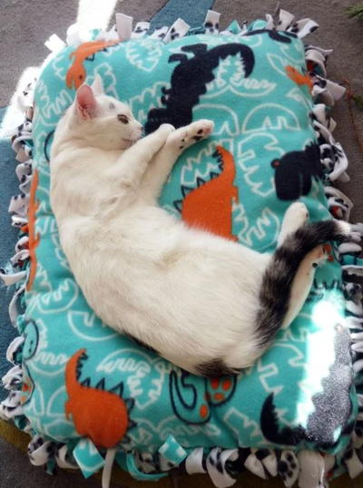 No-Sew Easy DIY Pet Bed