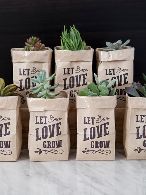 DIY Succulent Wedding Favors