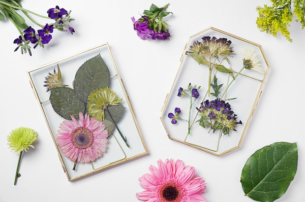 How to Press Flowers to Make a DIY Botanical Frame