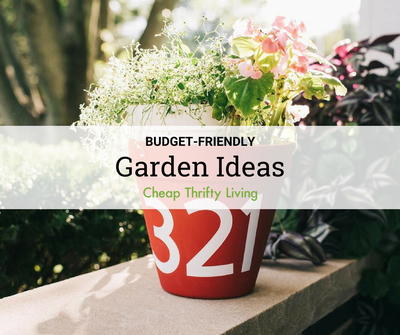 15 Budget-Friendly Garden Ideas