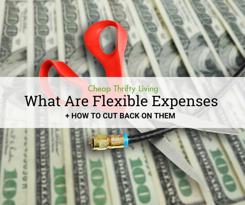 What Are Flexible Expenses  How To Cut Back on Them
