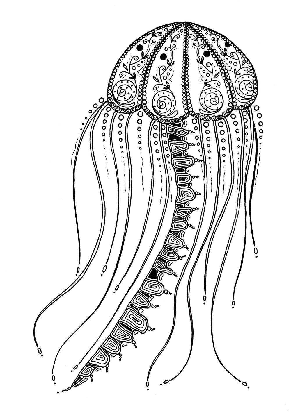Download Delicate Jellyfish Adult Coloring Page | FaveCrafts.com