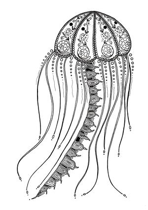 Delicate Jellyfish Adult Coloring Page Favecrafts Com